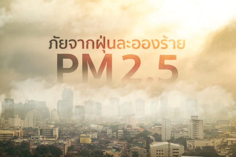 ฝุ่น pm 2.5